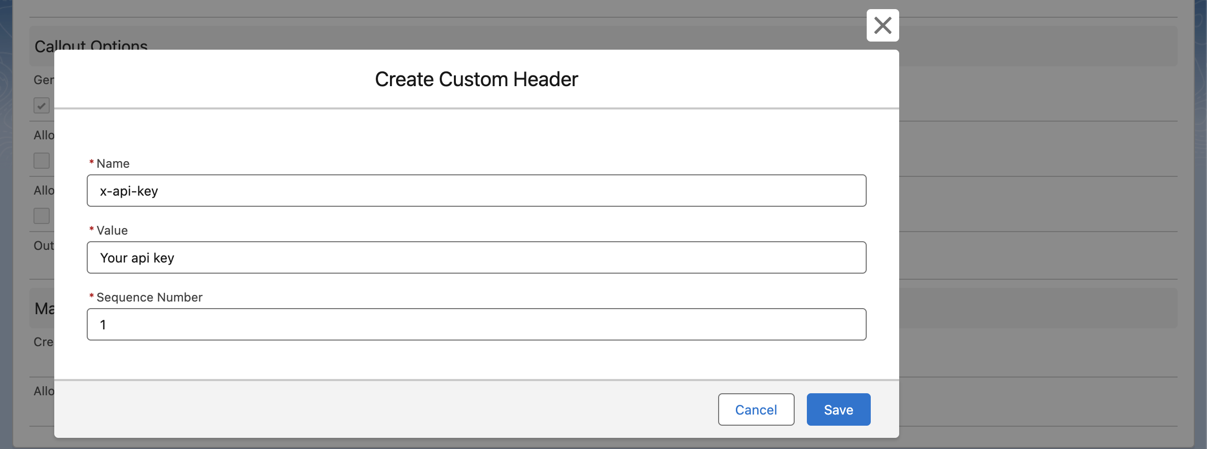 Api Key header